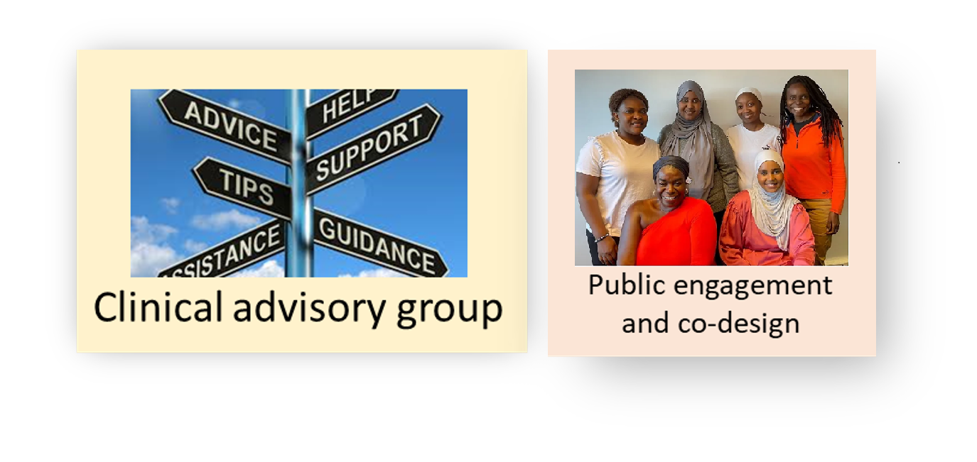 1) A road signs saying 'advice' 'support' 'help' tips' above the words 'Clinical advisory group' and
2) A smiley photograph of the MAVIS Study advisory group - six women of minority ethnicities, above the words 'Public engagement and co-design'.